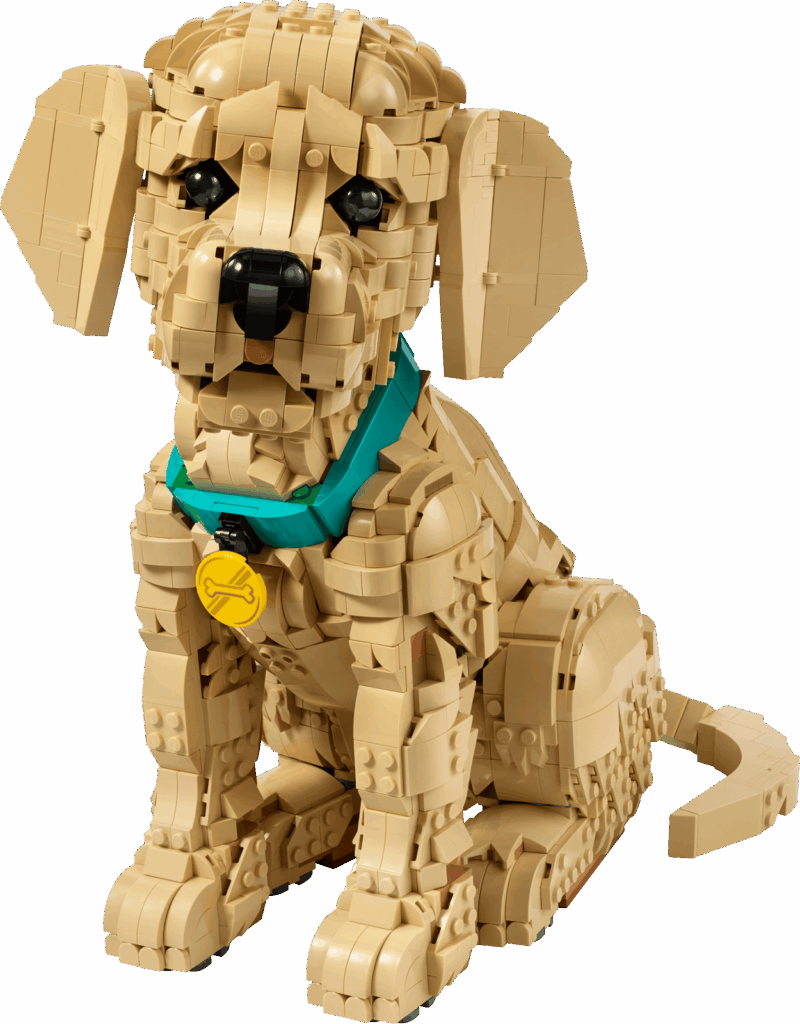 LEGO Icons 11384 Šteňa zlatého retrievera