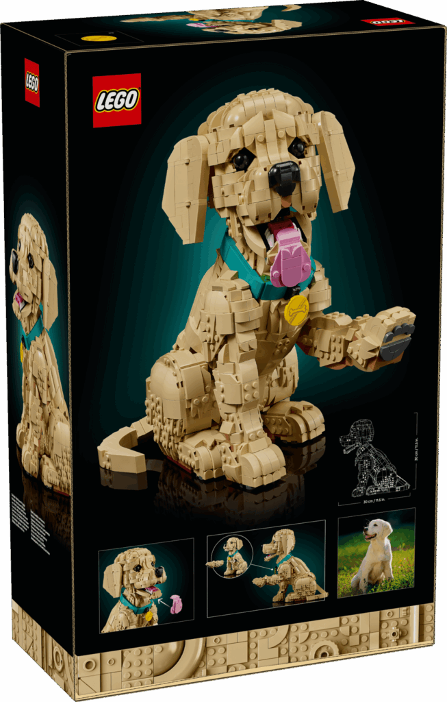 LEGO Icons 11384 Šteňa zlatého retrievera