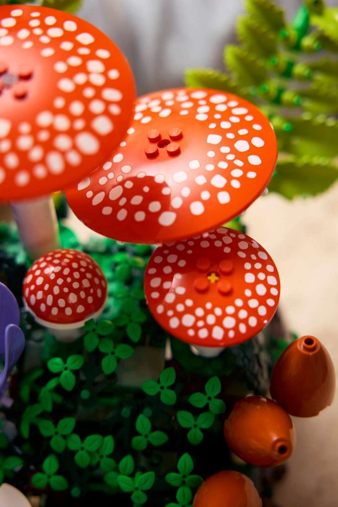 LEGO Botanická kolekcia 11505 Lesné huby