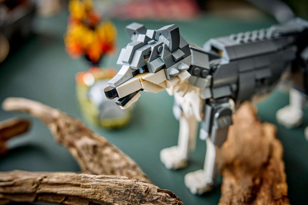 LEGO Creator 3v1 31393 Lesné zvieratá: Sivý vlk
